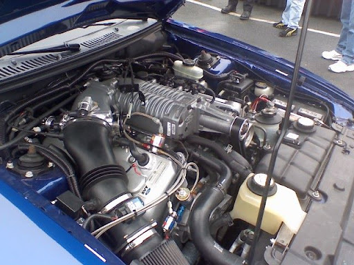 0223081035.jpg