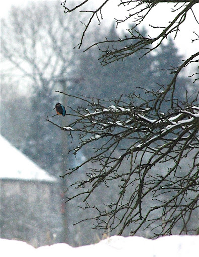 Imgp3002_2_2
