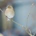 Imgp3077_2