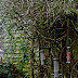 Imgp3172_2