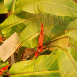 DSC_5622.JPG