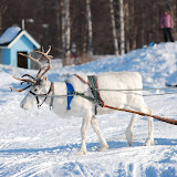 DSC_4281.JPG