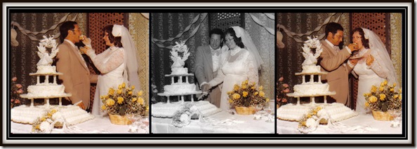 cake trio3