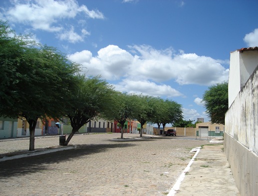 DSC02536