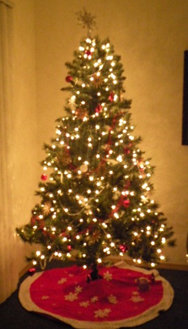 [Christmas decorations 003[6].jpg]