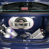 IMG_4433.JPG
