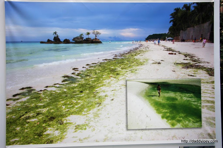 A Paradise Polluted by Profit, Bien Bautista