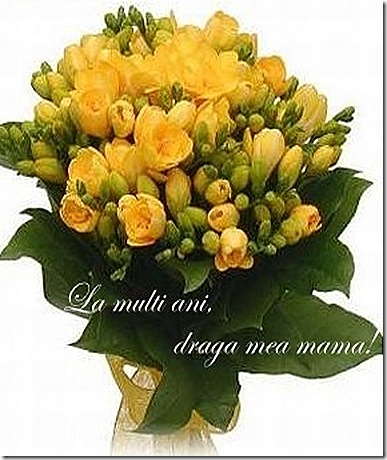 buchet_frezii_1234181183 buchet_frezii_1234181183