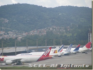 IMG_1810 IMG_1810