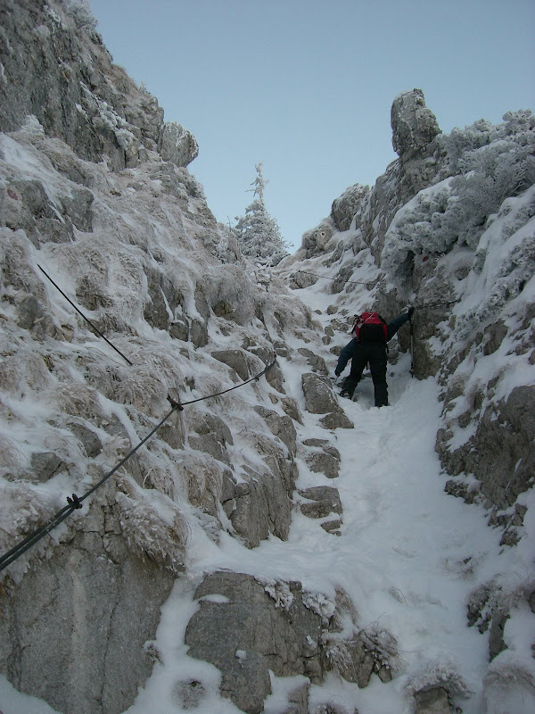 Creasta Nordica a Pietrei Craiului