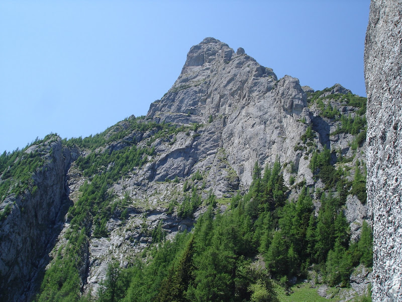 Costila