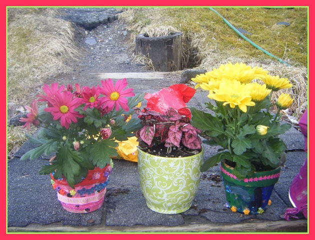 [pottedflowers[3].jpg]