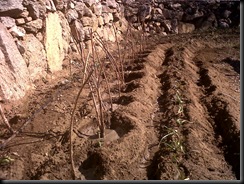 IMG00008-20100130-1355