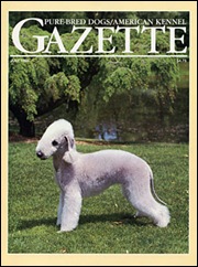 lg_bedlington5