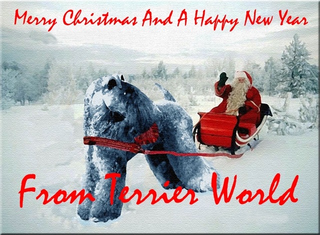 [TerrierWorld_Christmas_Card[5].jpg]
