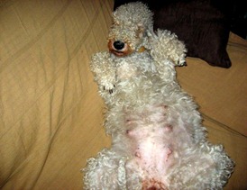 IMG_2881 IMG_2881
