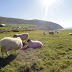 Slea Head