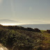 Dingle