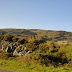 DSC01788.JPG