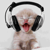 [cat enjoying headphones[4].gif]