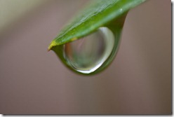 IMG_1872