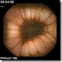 colon colon