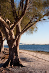 12-29-09_3760