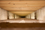 12-28-09_3528
