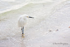 12-28-09_3530