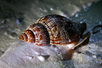 12-28-09_3346