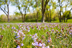 04-22-10_6859