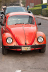 10-23-09_0499