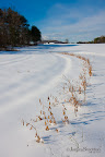 12-20-09_0876