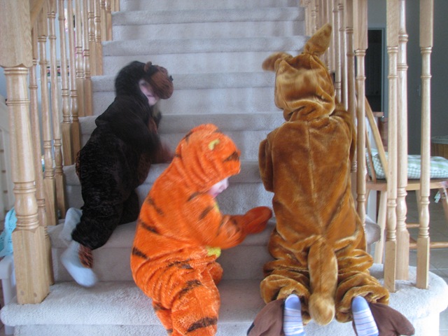 [costumes 018[2].jpg]