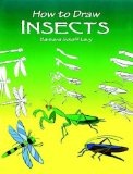 [insects[3].jpg]