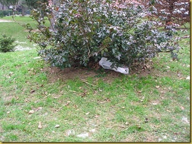 P1010164