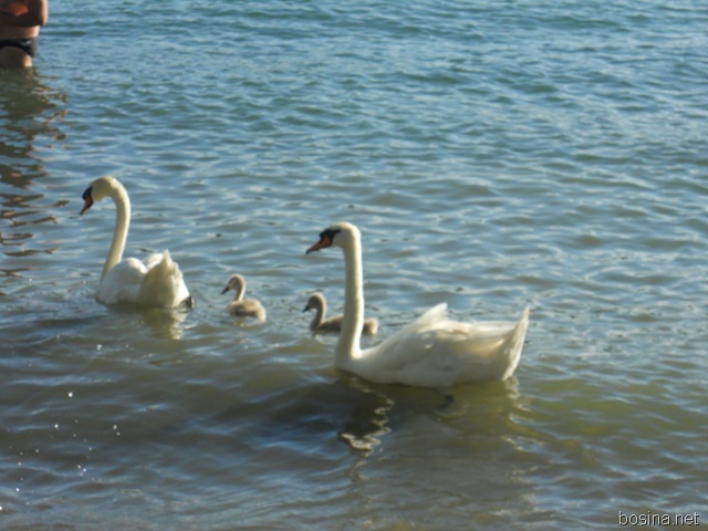 [DSCN20473.jpg]