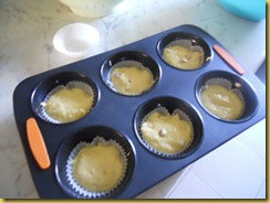 muffin grana 018