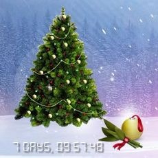 [Snow Christmas Tree 02[3].jpg]