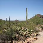 IMG_7092.JPG