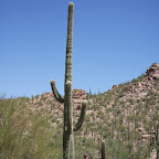 IMG_7140.JPG