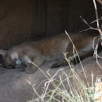IMG_7212.JPG
