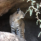 IMG_7218.JPG