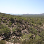 IMG_7238.JPG