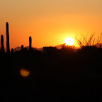 IMG_7354.JPG