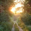 DSC08236.JPG