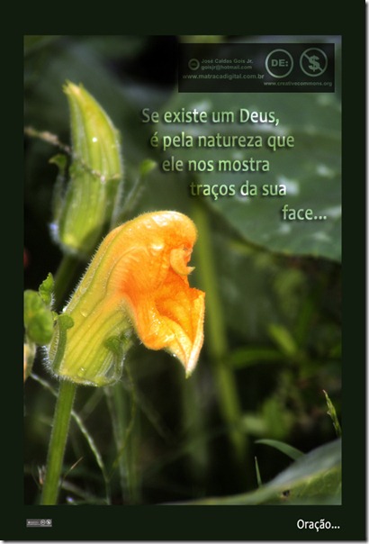 _MG_2279_800pixels_face