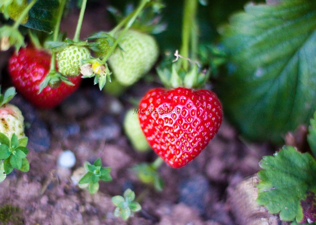 [september 052[2].jpg]