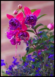 september 068