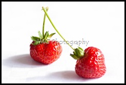 strawberry 025 (800x533)